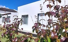 Pineapple Studio